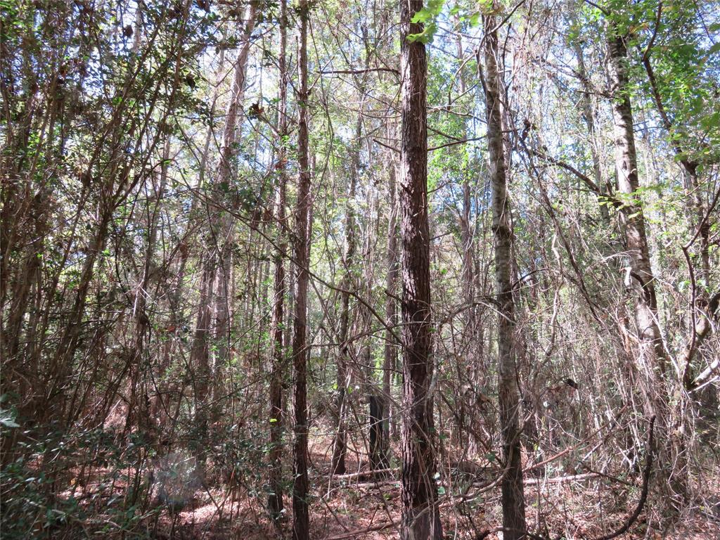 21471 N Fm 95 Property Photo 2