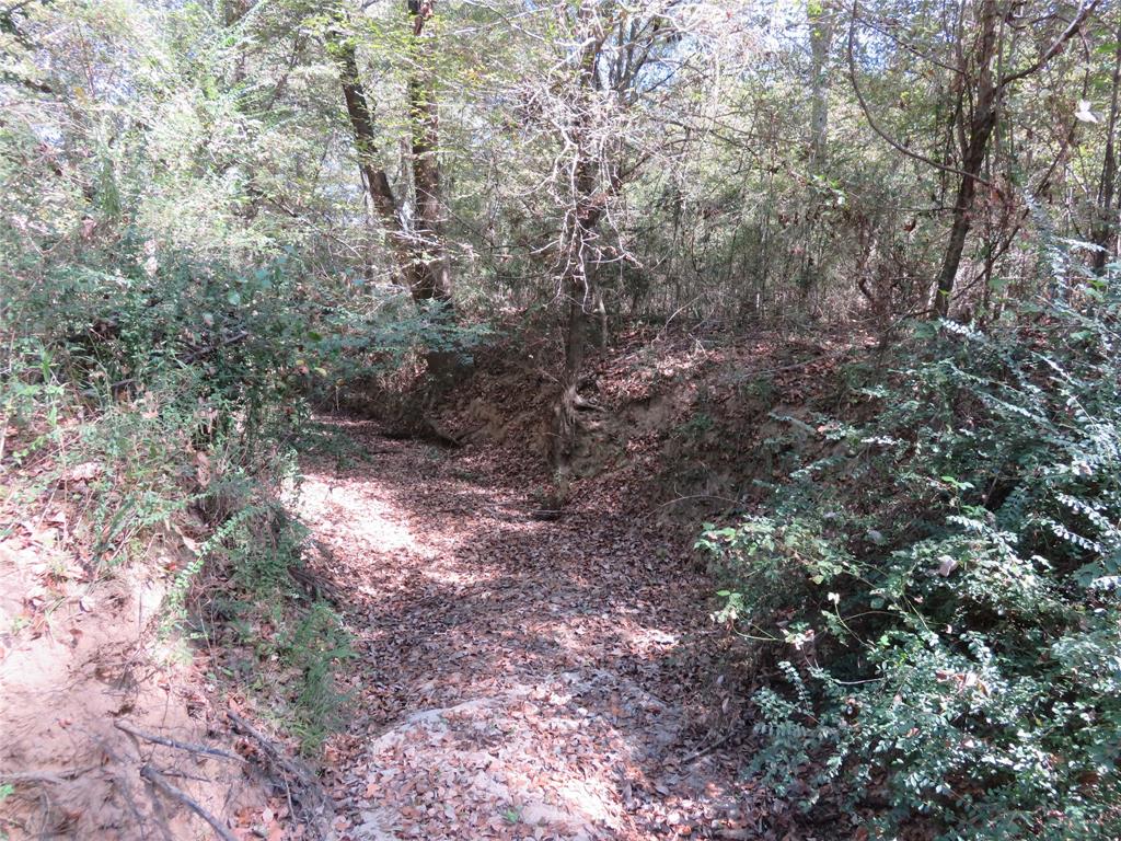 21471 N Fm 95 Property Photo 3