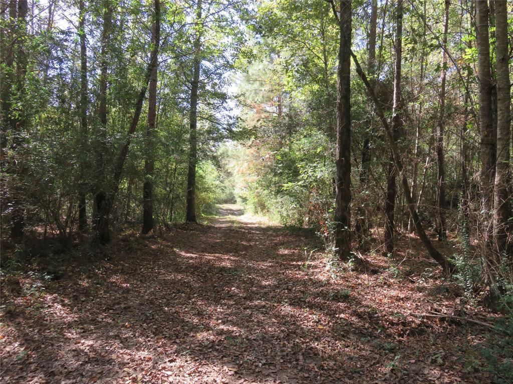 21471 N Fm 95 Property Photo 4