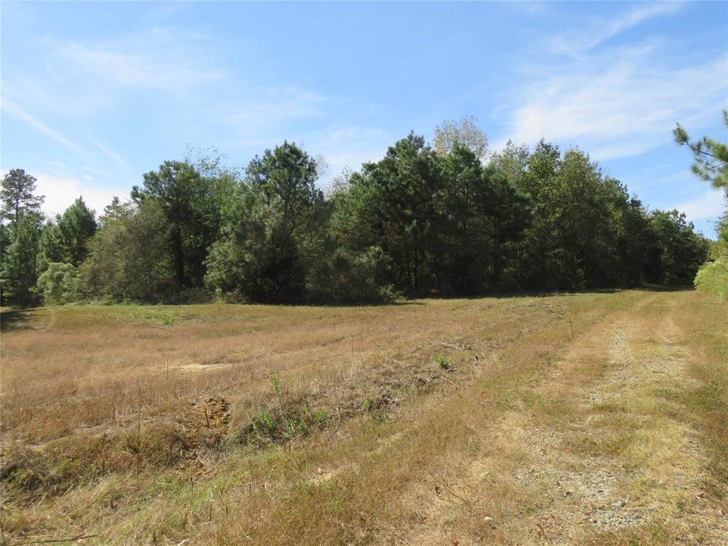 21471 N Fm 95 Property Photo 6