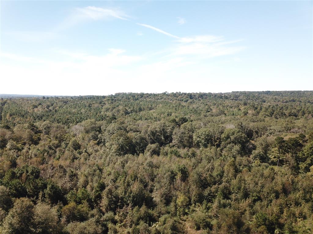 21471 N Fm 95 Property Photo 11