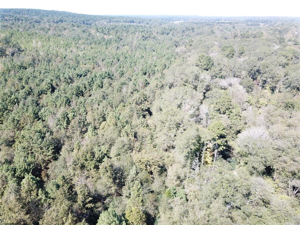 21471 N Fm 95 Property Photo 12