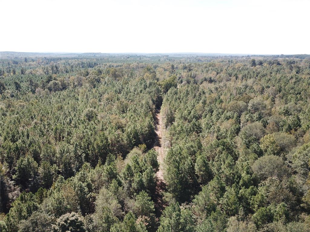21471 N Fm 95 Property Photo 14