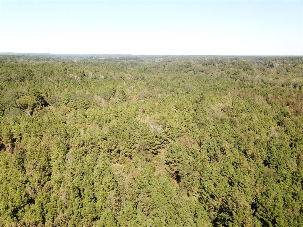 21471 N Fm 95 Property Photo 15