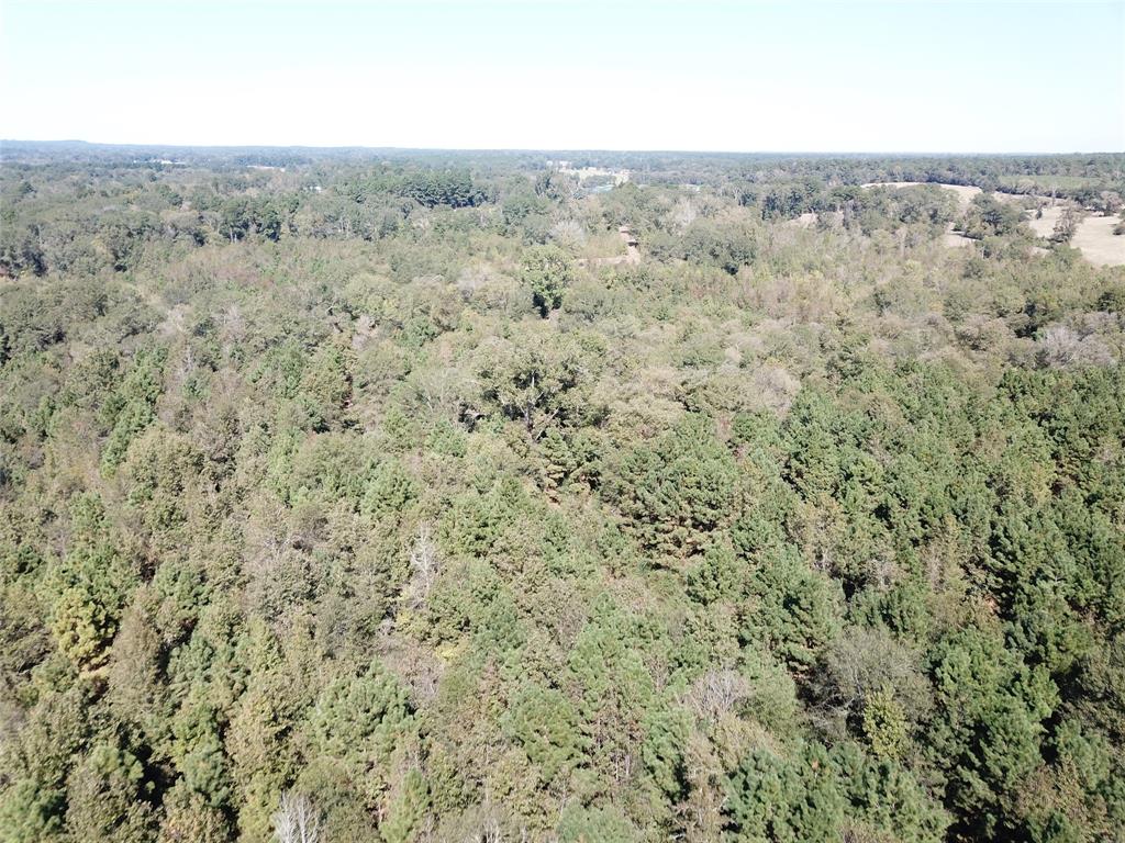 21471 N Fm 95 Property Photo 16