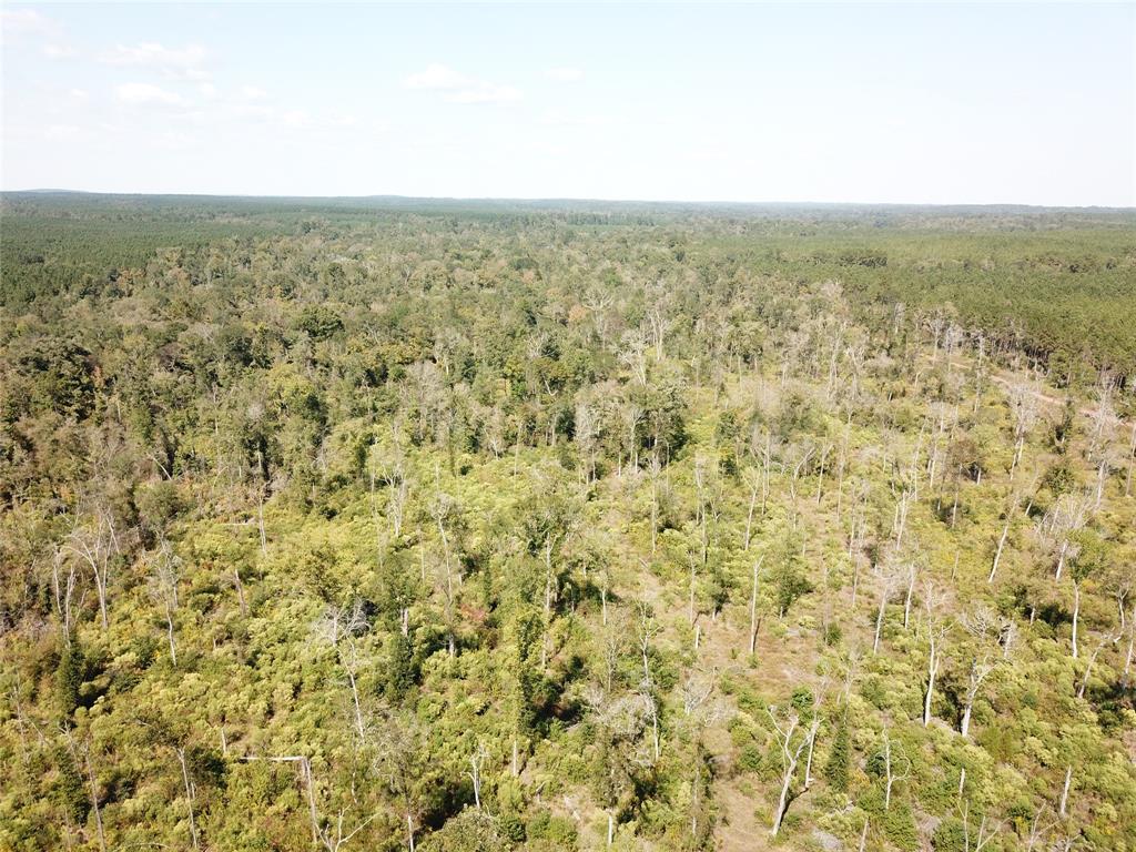00 Off Evans Gann Road Property Photo