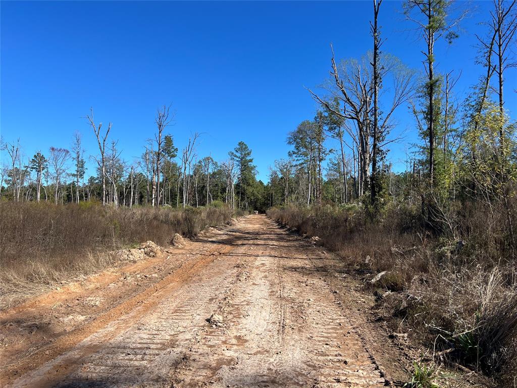 00 Off Evans Gann Road Property Photo 6