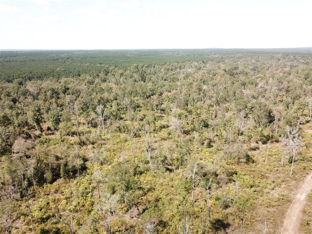 00 Off Evans Gann Road Property Photo 7