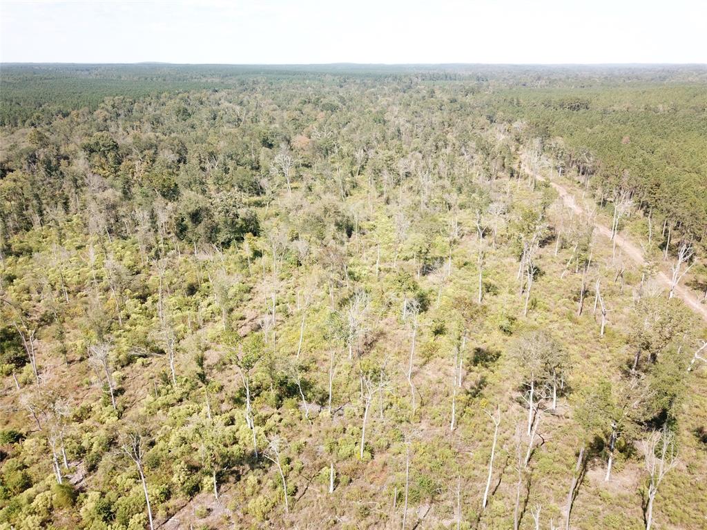 00 Off Evans Gann Road Property Photo 9