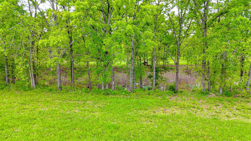 Lot 32 & 33 & Bs 24 Lake Ridge Dr Property Photo 18