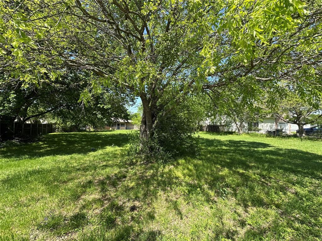 144 College Street Property Photo 4