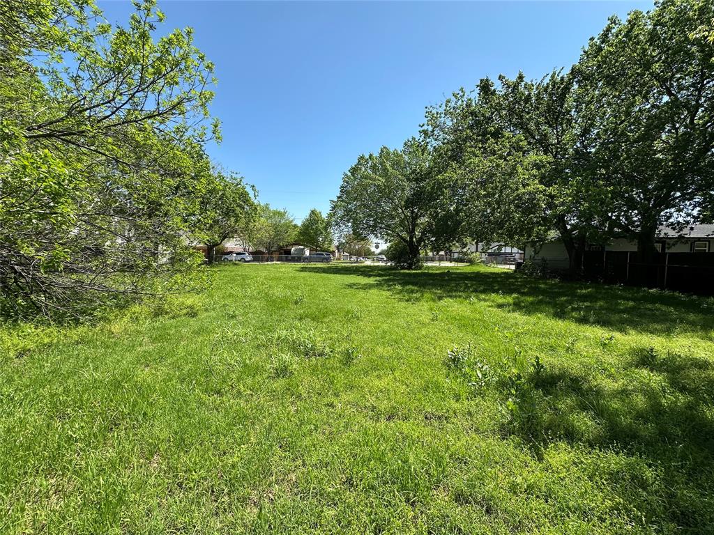 144 College Street Property Photo 5