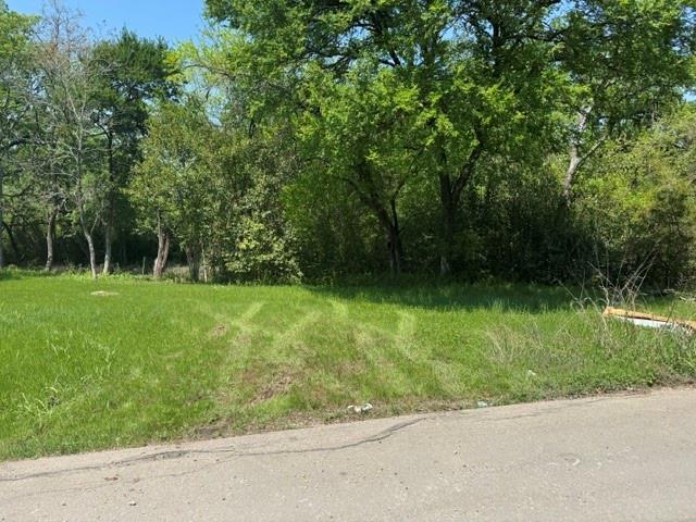 204 Diana Drive Property Photo 3