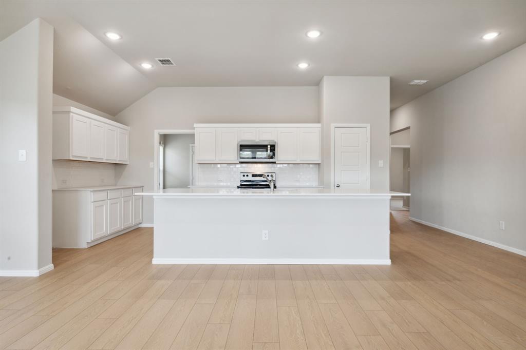 255 Bright Alcove Court Property Photo 1