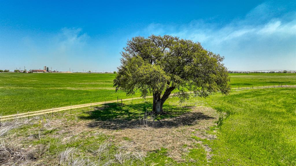 Tbd Tx-6 Property Photo 16