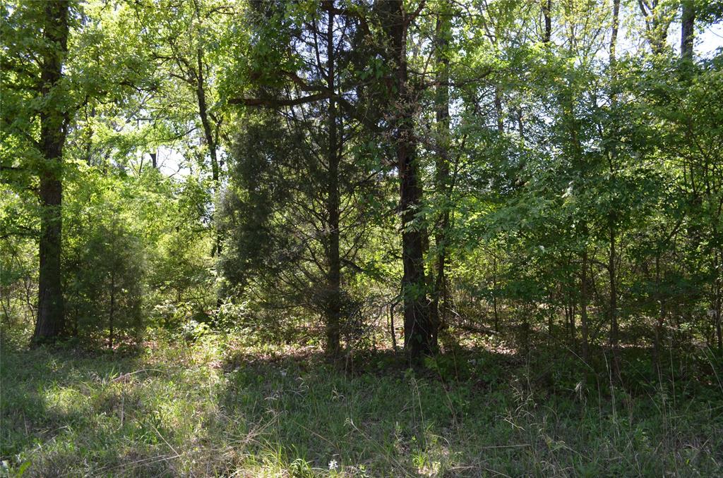 Lot 17 Westwood Drive Property Photo