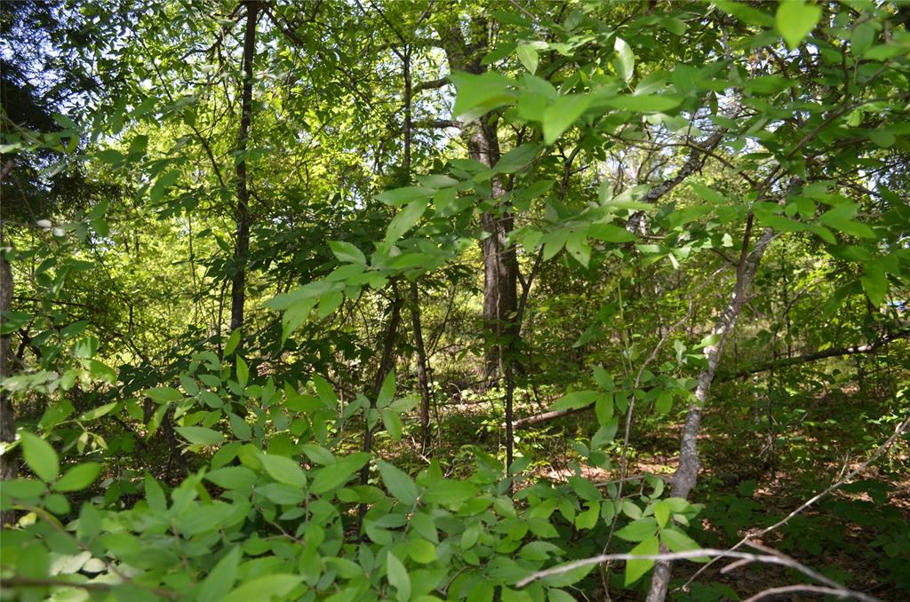 Lot 16 Westwood Drive Property Photo