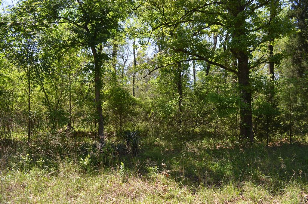Lot 43 Daniel Boone Lane Property Photo