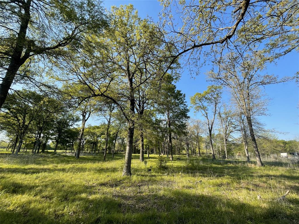 0000 Fm 1563 Property Photo