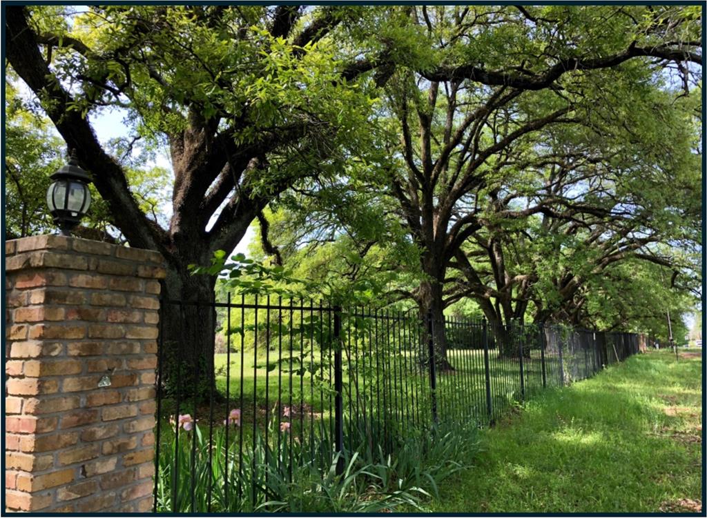 Lot 8 Angel Oaks Property Photo