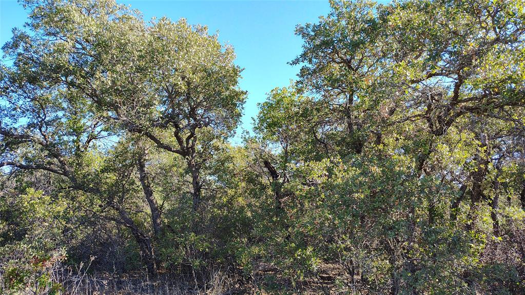 Tbd Private Rd 342 Property Photo