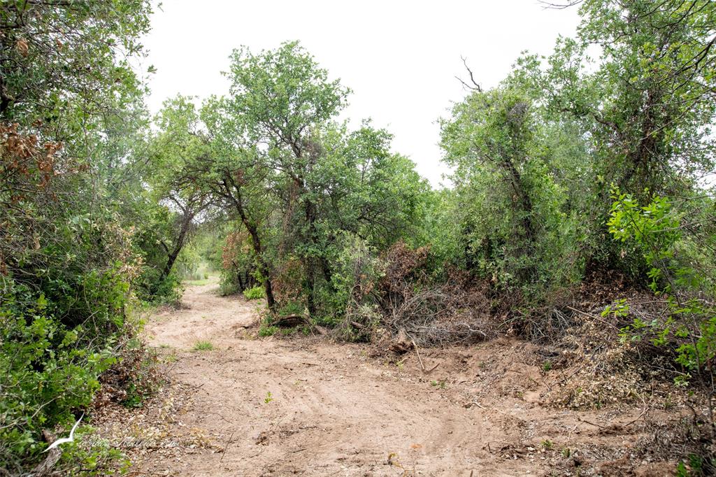 Tbd Private Rd 342 Property Photo 12