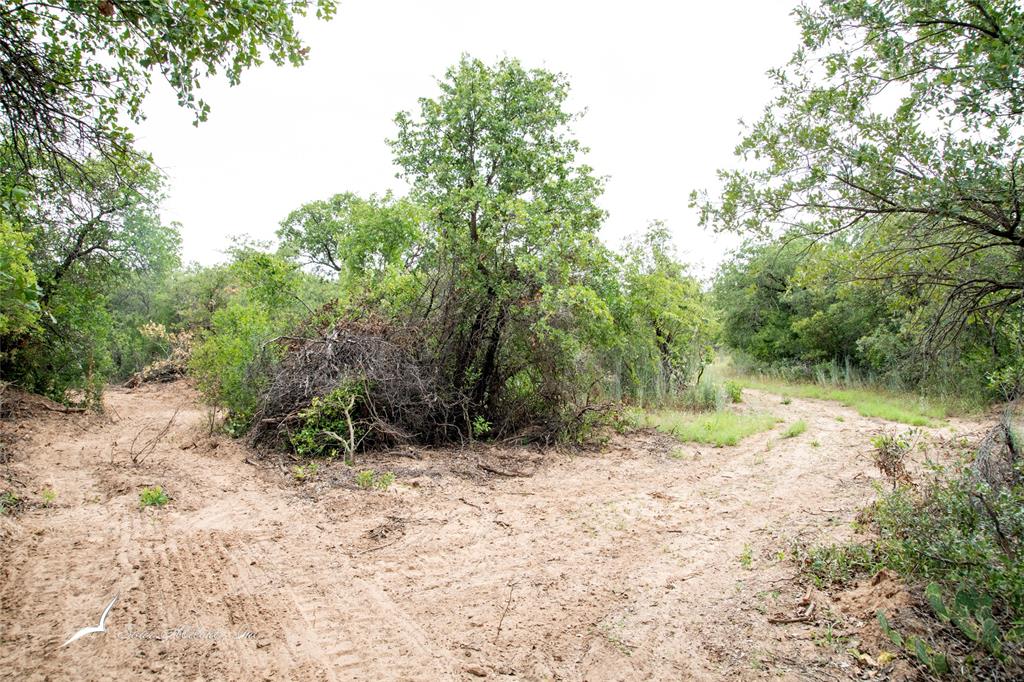 Tbd Private Rd 342 Property Photo 13