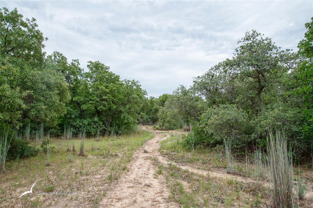 Tbd Private Rd 342 Property Photo 14