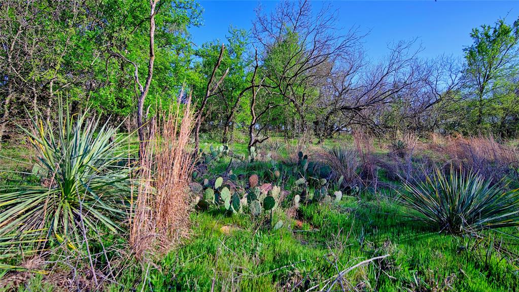 Tbd Pump Station Road Property Photo