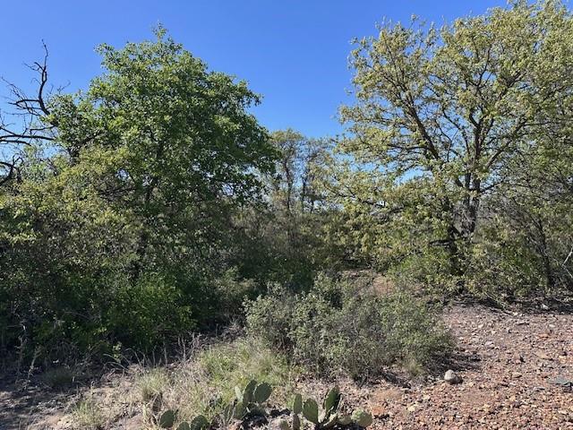 Lot 148 Hidden Shores Dr. Property Photo 6