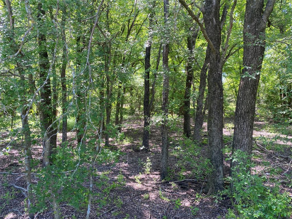 000 Butschers Block Property Photo 11
