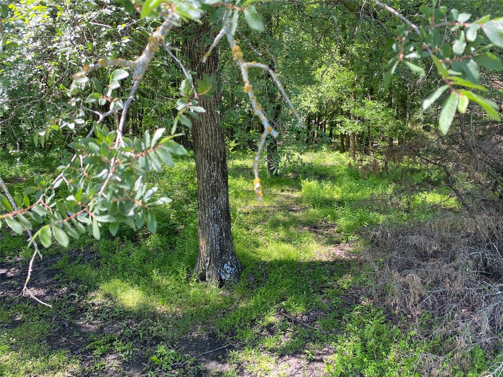000 Butschers Block Property Photo 12
