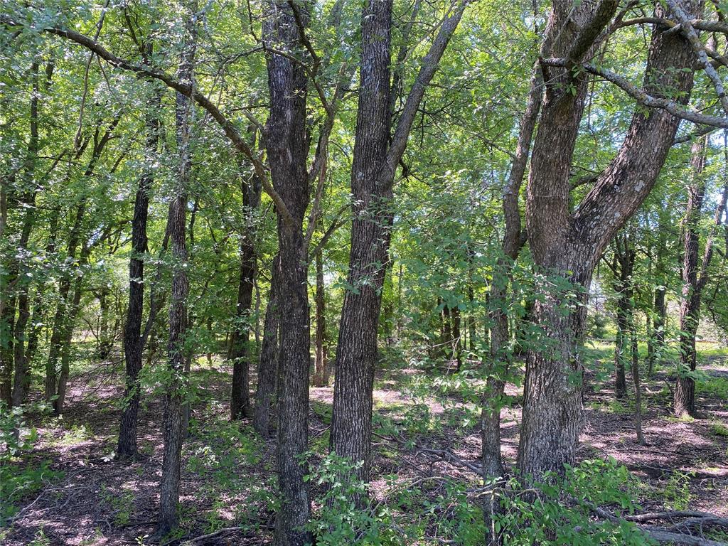 000 Butschers Block Property Photo 14