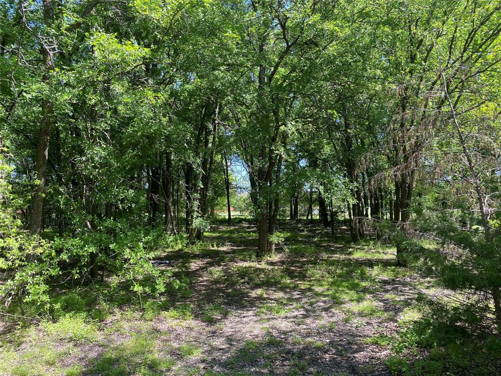000 Butschers Block Property Photo 15