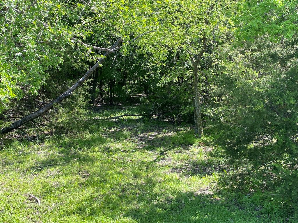 000 Butschers Block Property Photo 18