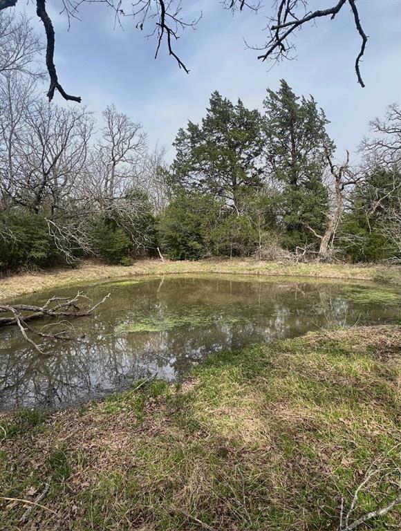 Tbd Cr 130 Property Photo