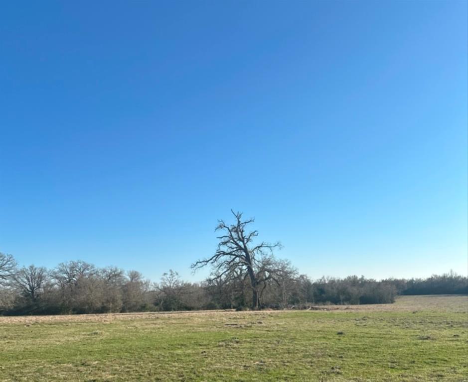 Tbd Cr 386 Property Photo
