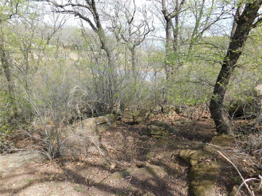Tbd Fm 3003 Property Photo 6