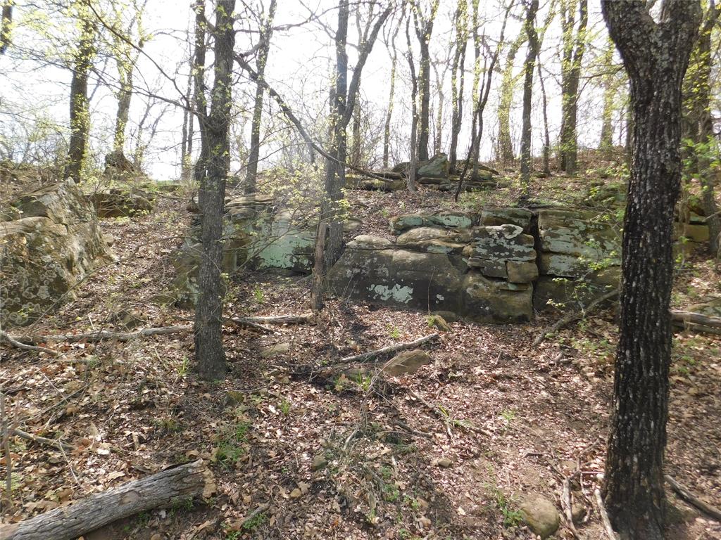 Tbd Fm 3003 Property Photo 8