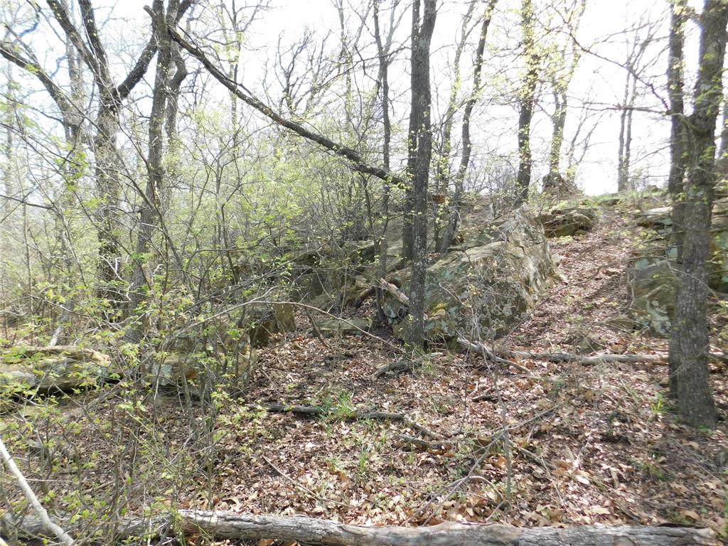 Tbd Fm 3003 Property Photo 9