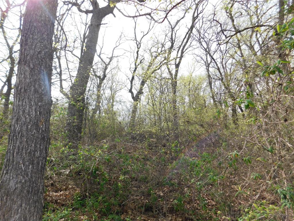 Tbd Fm 3003 Property Photo 10