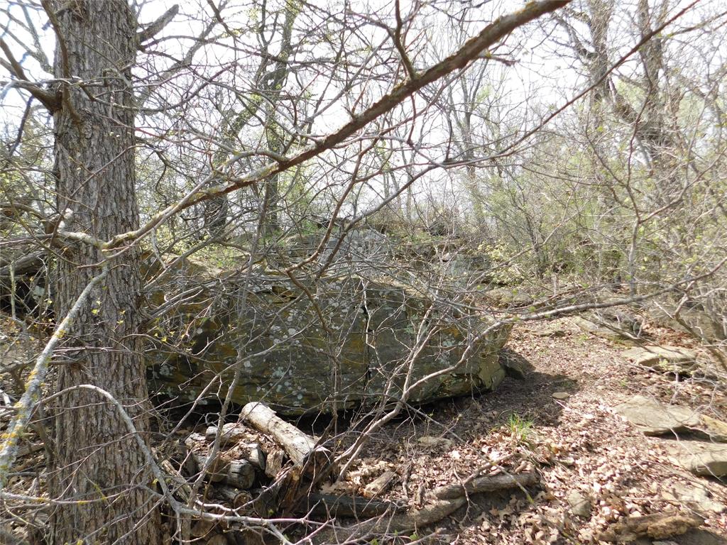 Tbd Fm 3003 Property Photo 11