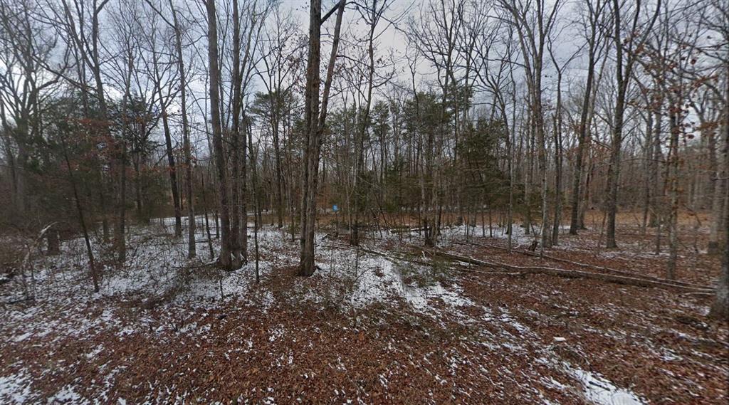 2132 Mount Olive Road Property Photo 2