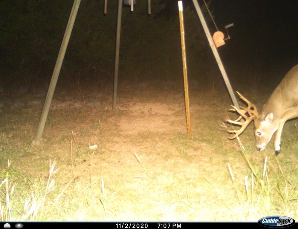 975 County Road 243 Property Photo 2