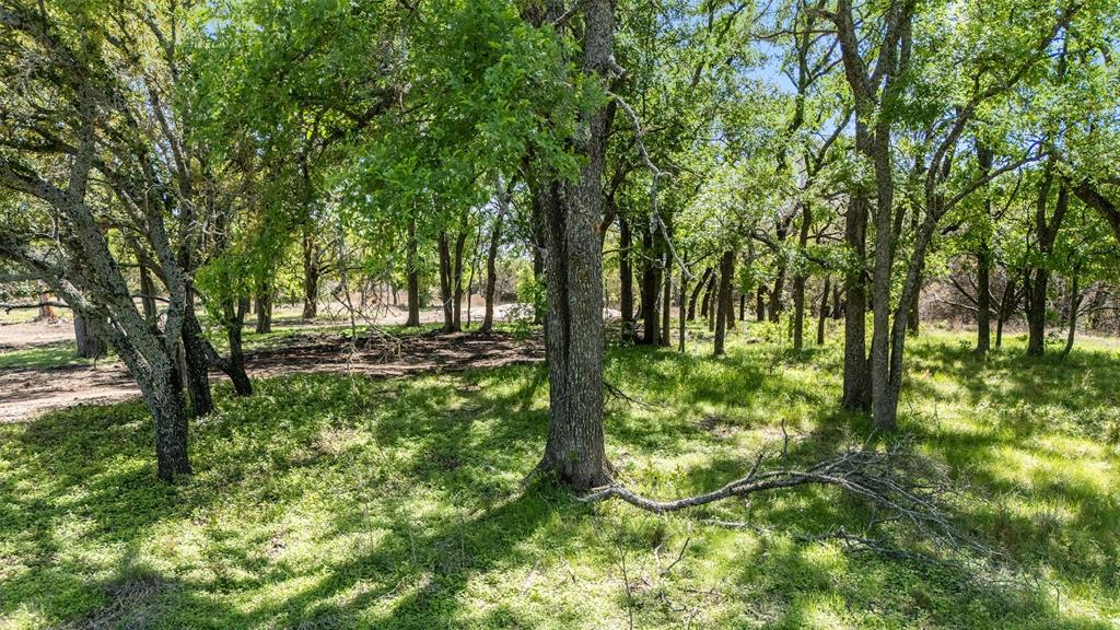 975 County Road 243 Property Photo 4