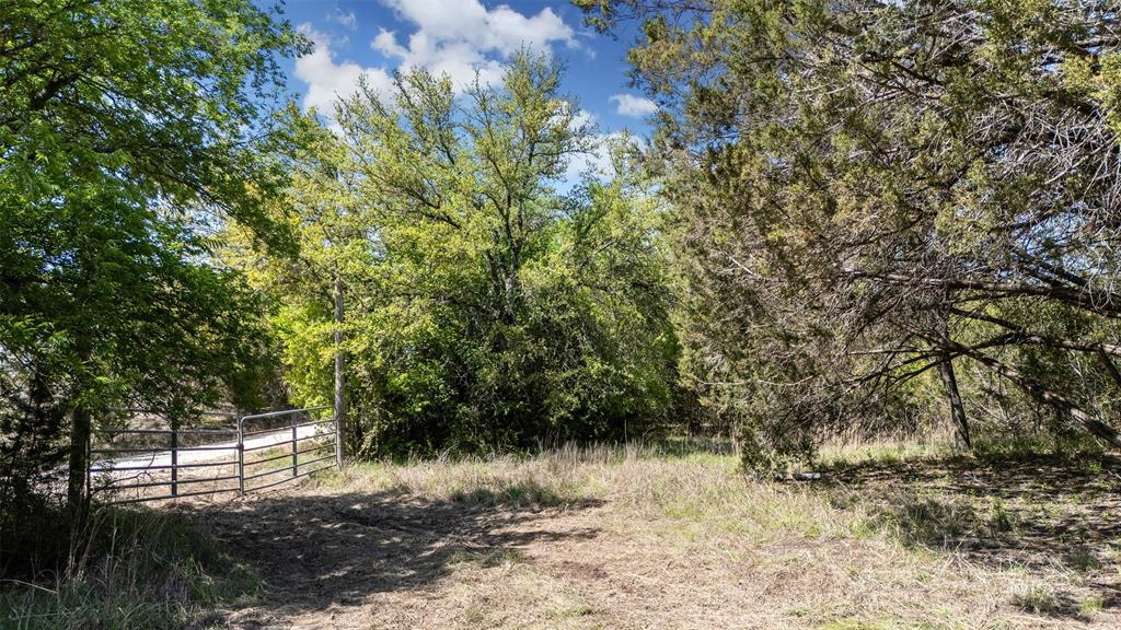 975 County Road 243 Property Photo 7