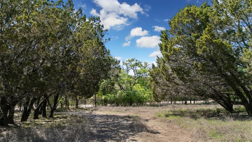 975 County Road 243 Property Photo 9