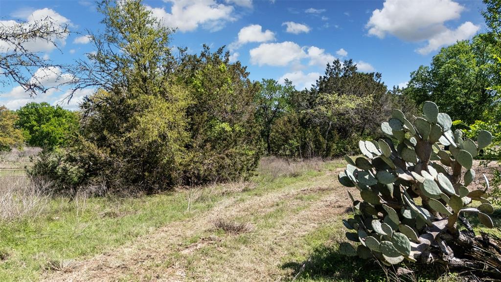 975 County Road 243 Property Photo 11