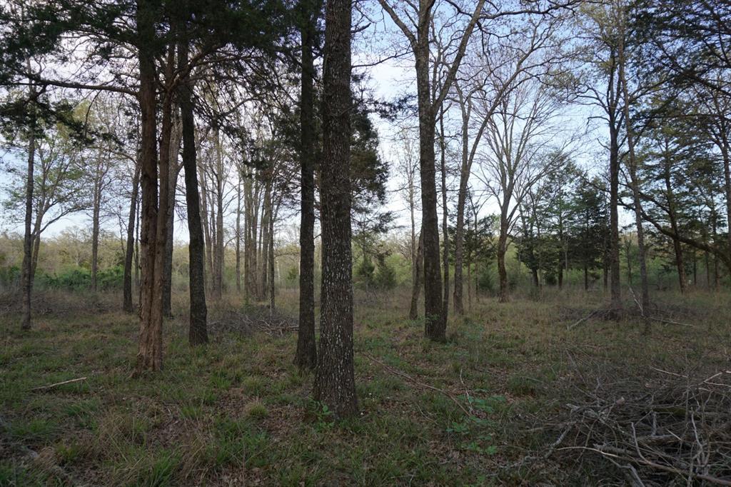 01 Cr-1403 Property Photo 3