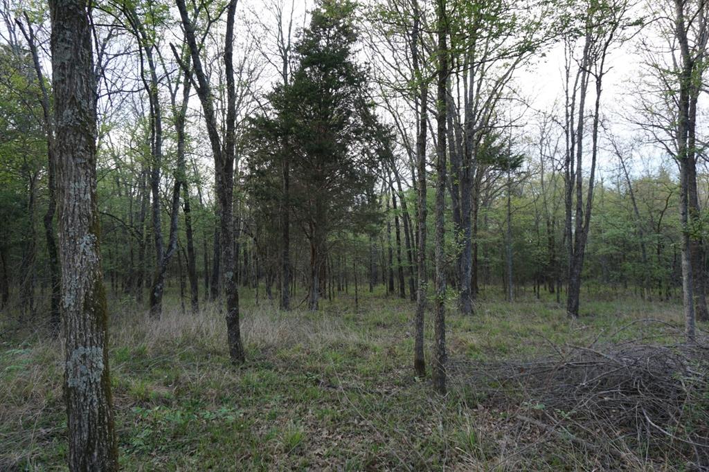 01 Cr-1403 Property Photo 4